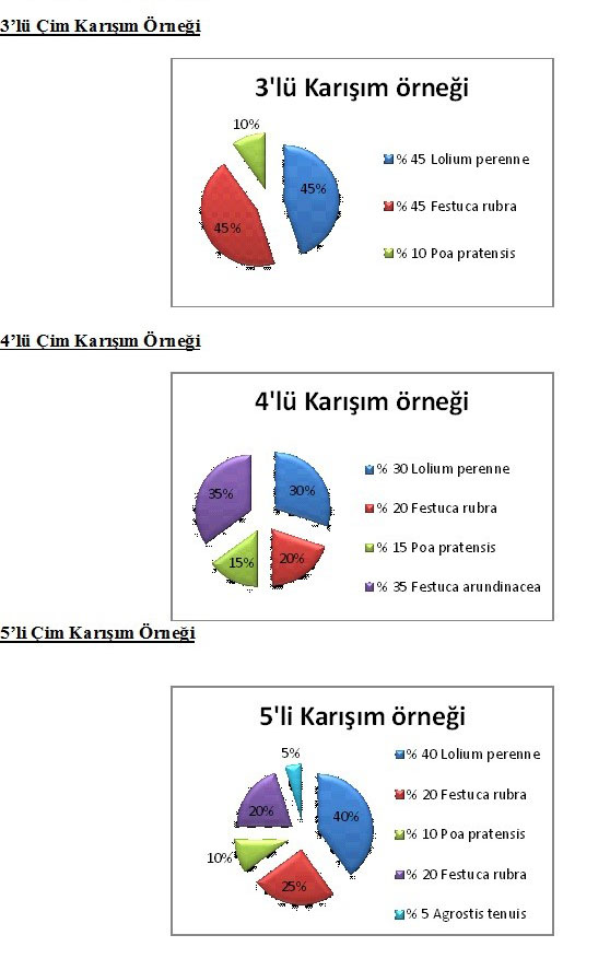 çim karışım örnekleri